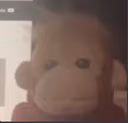 monke_stare emote