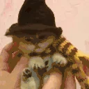 MeowwartsSchool emote