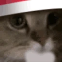 Meow emote