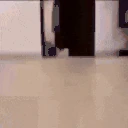 omgomgomgomgomg emote