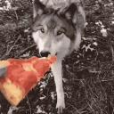 Pizzatime emote