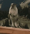 ahhhh emote