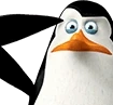 kowalski_salute emote