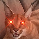 floppa_woke emote