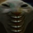 xbb emote