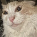 CE_CrazyLook emote