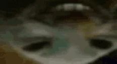 6uippx emote