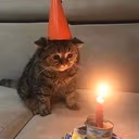 FeelsBirthdayMan emote