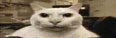 EH animated emote