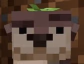 Sus emote