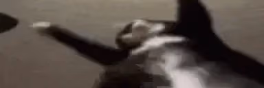 hold emote