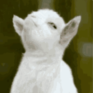 samuvva avatar