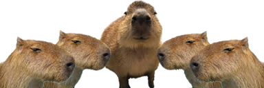 gortCouncil emote