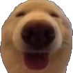 Dwag emote