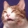 CE_Confused3 emote