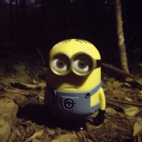 Minion emote