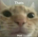 boobs emote