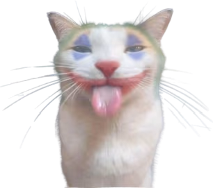 Joker_cat emote