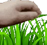 touchgrass emote