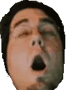 IfuckingLost emote