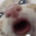 suck emote