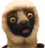 zoboomafoo emote