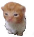 ewbert emote