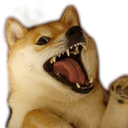 dogyas emote