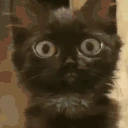 tasty emote