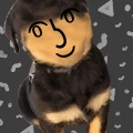lenpup emote