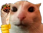 catKebab emote