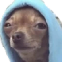 susdog emote