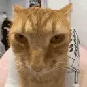 juh emote