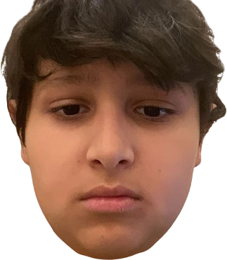 saudserious emote