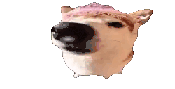 dog animated emote