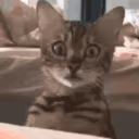 CE_Gone emote