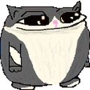 Catgers emote