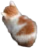 baby_cat emote