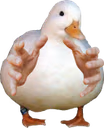 ismine emote