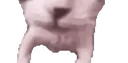 YouDied animated emote