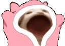 Blankies emote
