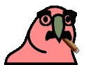 grouchoParrot emote