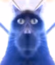 bor emote