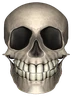 Skal emote