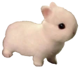 buny emote