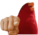BirdLaughingAtYou emote