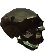 outv emote