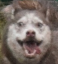 ebanina static emote
