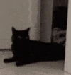 catdeposit emote