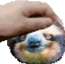 SlothPat emote
